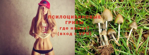 альфа пвп VHQ Дмитриев