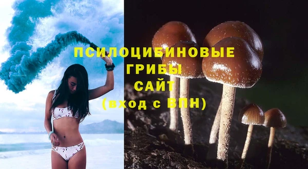 мдма Дмитров